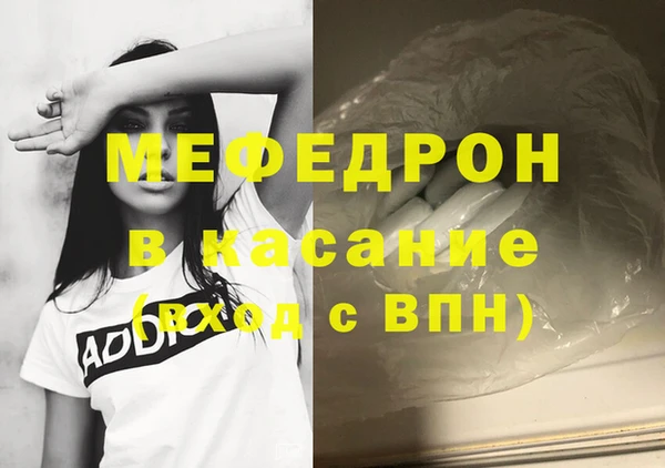 индика Богородицк