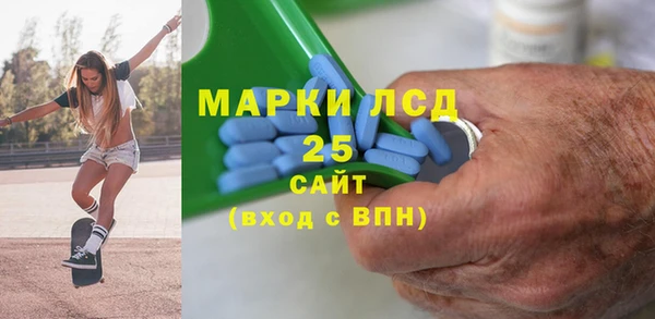 индика Богородицк