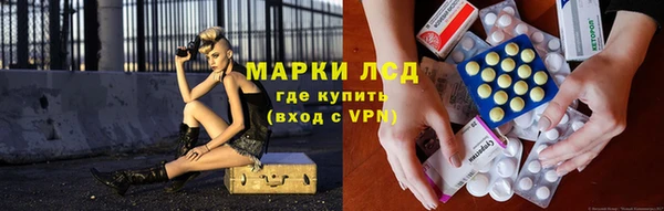 спиды Богданович