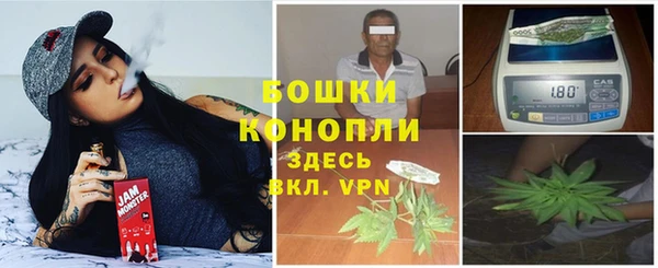 индика Богородицк