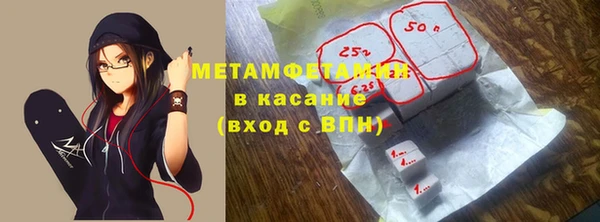 индика Богородицк