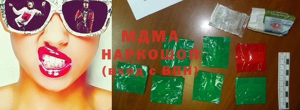 индика Богородицк