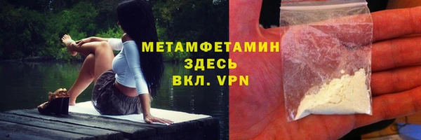 индика Богородицк