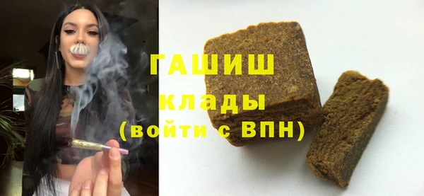 индика Богородицк