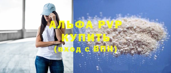 спиды Богданович