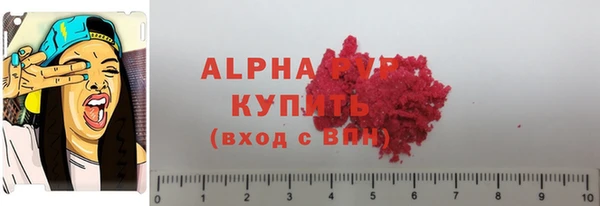 индика Богородицк