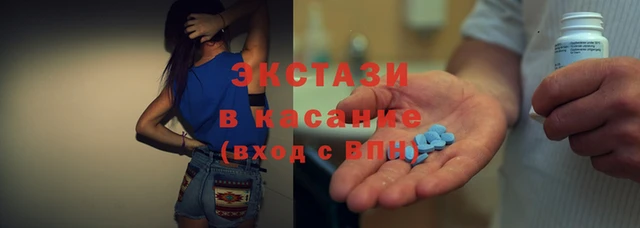 индика Богородицк