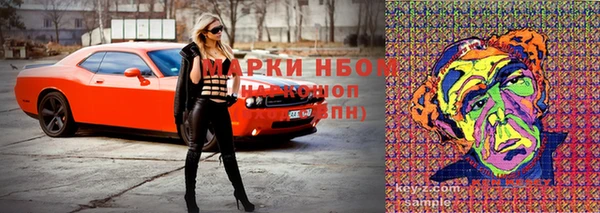 индика Богородицк