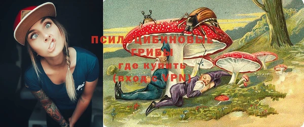спайс Богородск