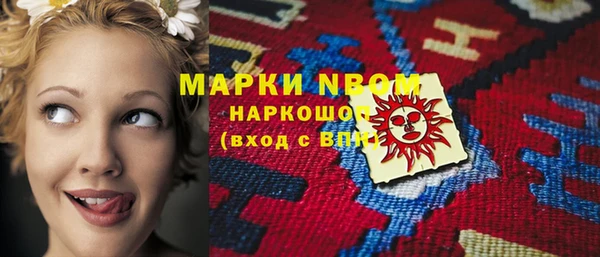 индика Богородицк