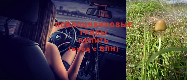 спиды Богданович