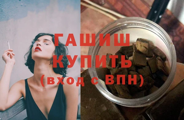 индика Богородицк
