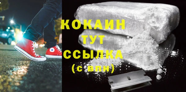 индика Богородицк