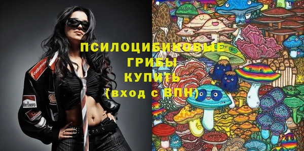 спиды Богданович