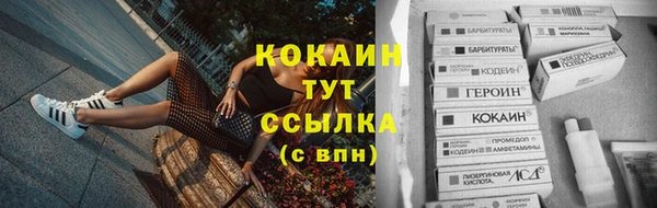 спиды Богданович