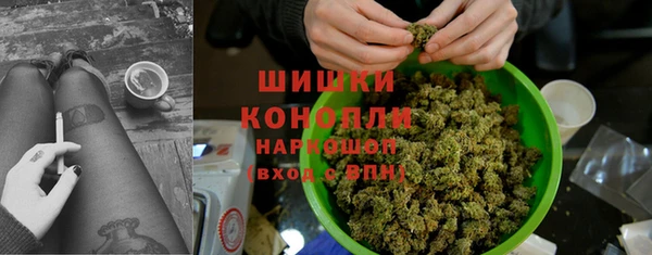 индика Богородицк