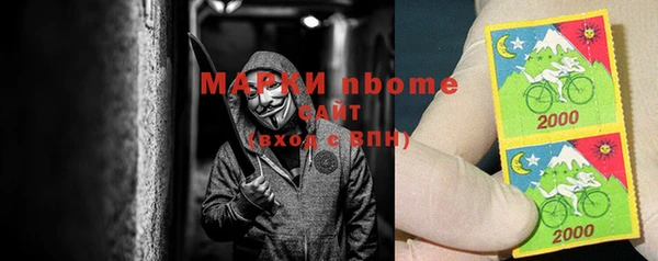 индика Богородицк
