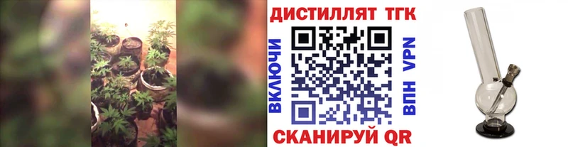 ТГК концентрат  Бийск 