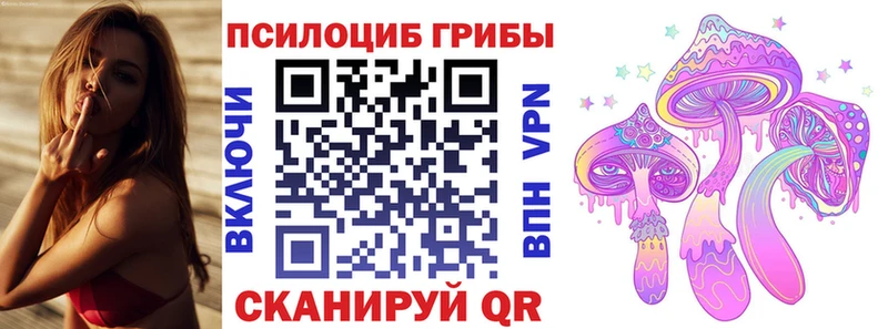 Галлюциногенные грибы GOLDEN TEACHER купить наркоту ОМГ ОМГ как войти Бийск